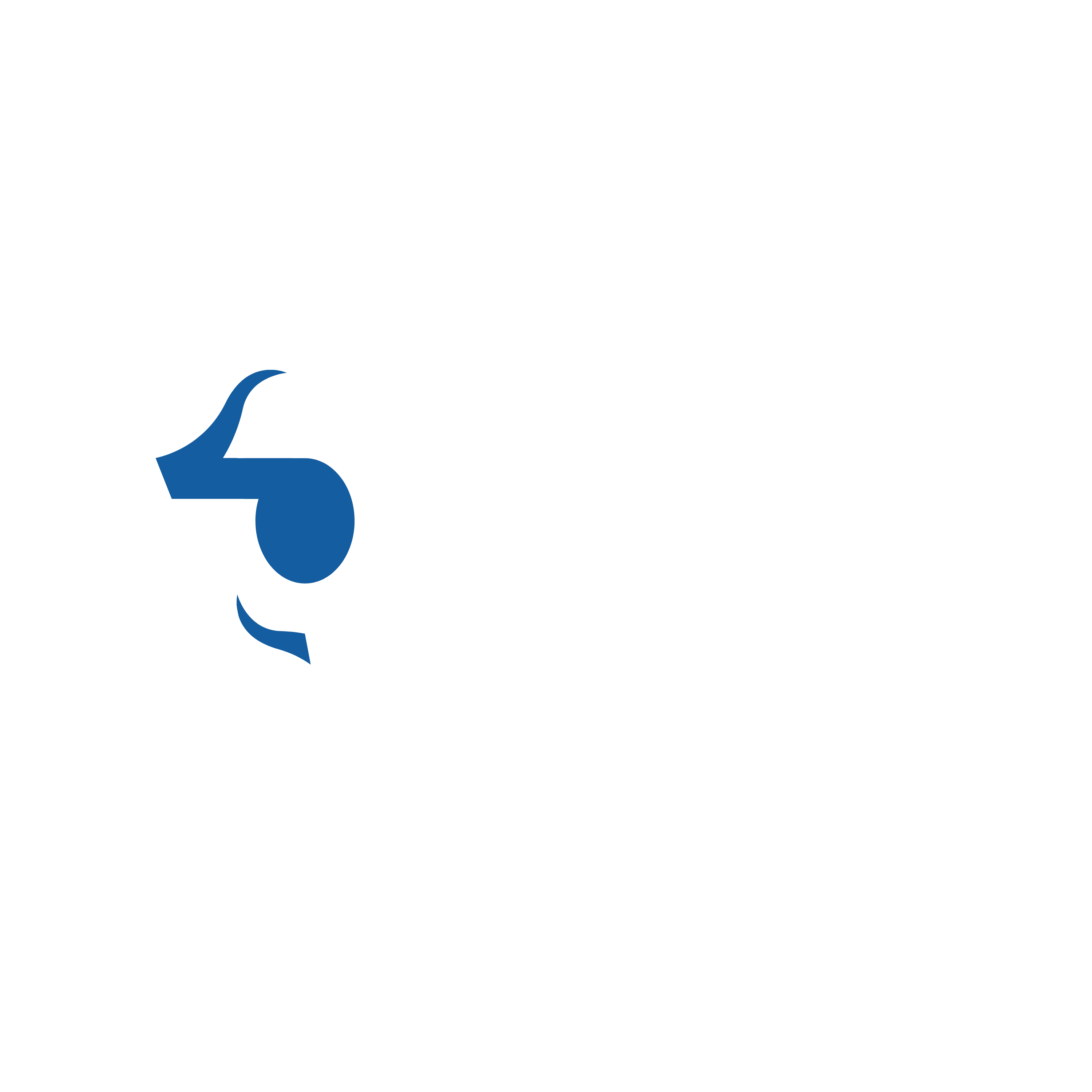 Bon ENT Logo